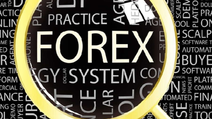 FOREX. Magnifying glass over different association terms.